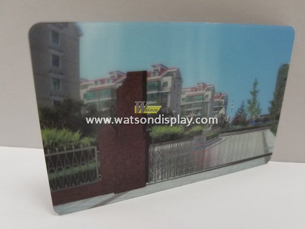 Popular pre-printed plastic 3D campus cards 